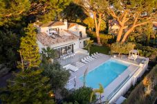 Villa in Cannes - Villa Amelia