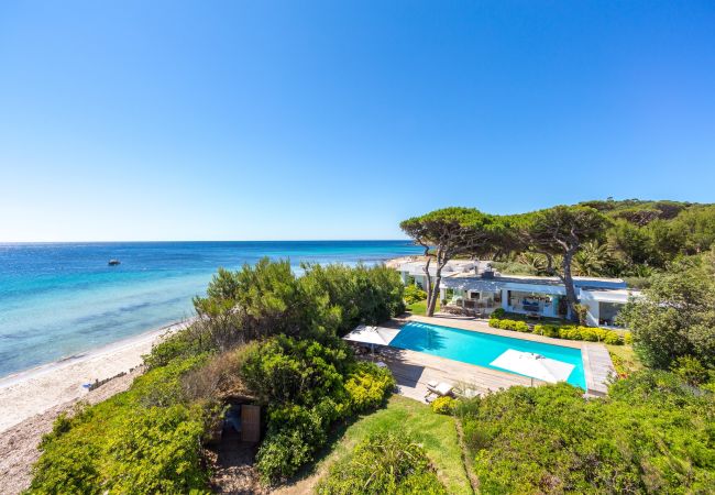 Villa in Saint-Tropez - Villa Calypso