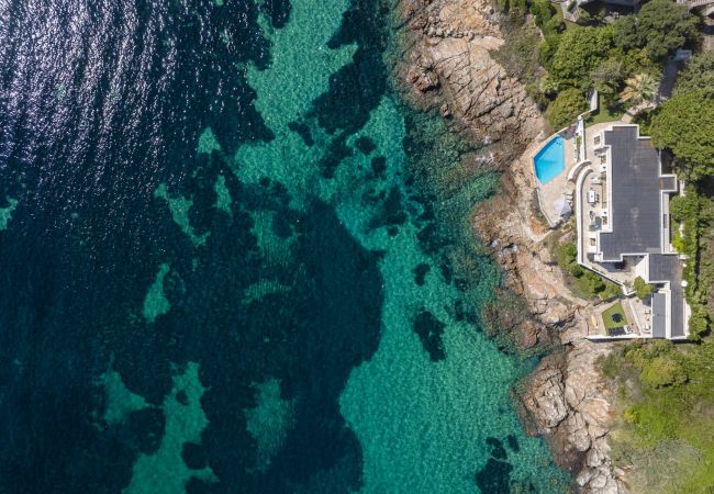 Villa in Cannes - Villa Sophia