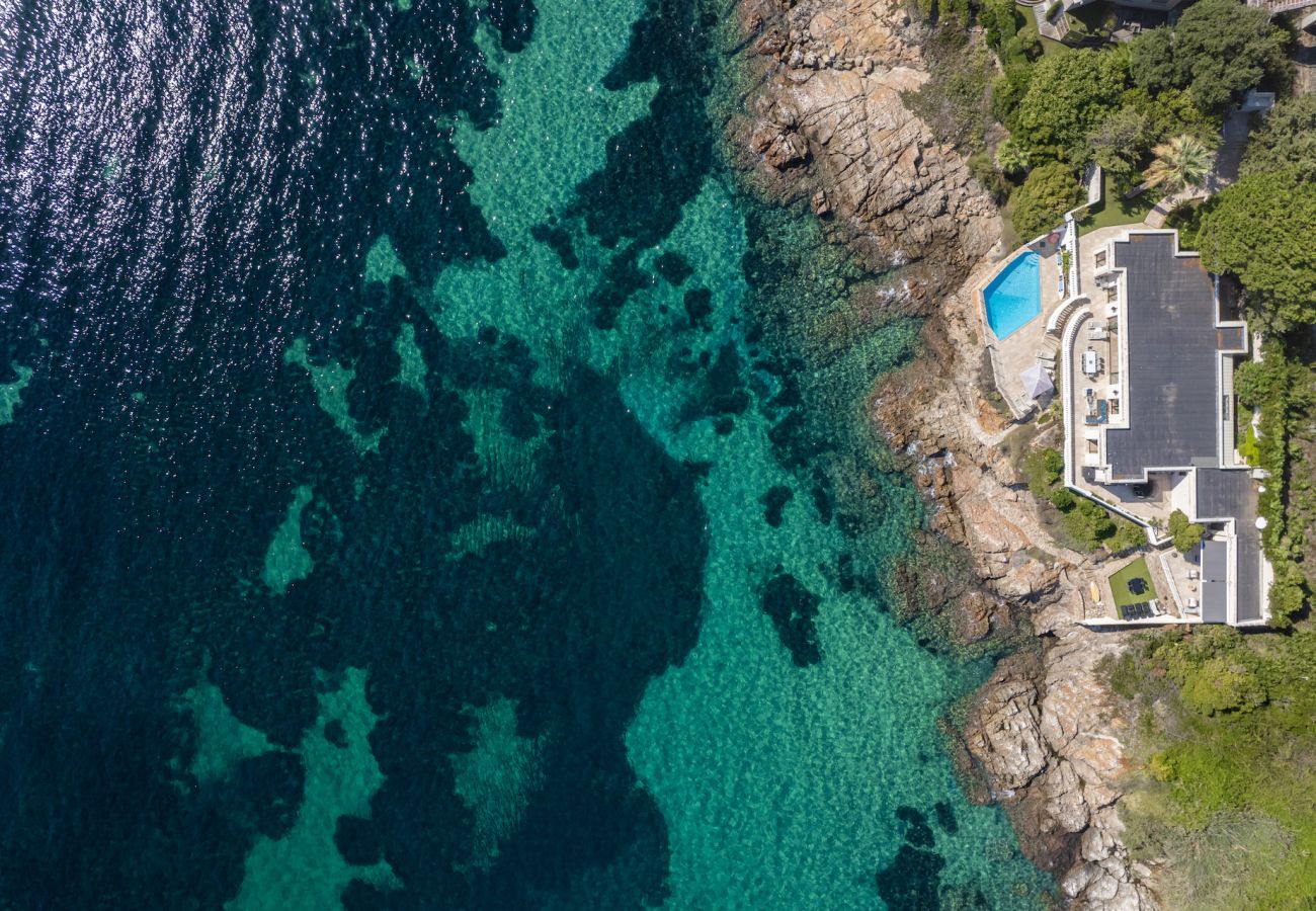Villa in Cannes - Villa Sophia