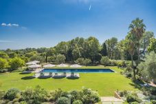 Villa in Mougins - Villa Ivory