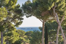 Villa in Antibes - Villa Myrtle
