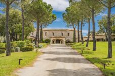 Villa à Cannes - Domaine des Horizons